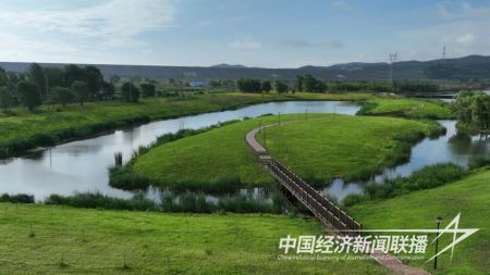 湿地公园.jpg?v=1705659902