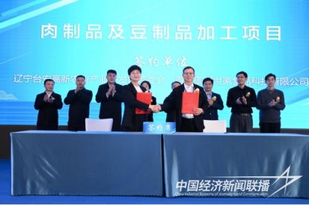 台安青岛3).jpg?v=1705841910