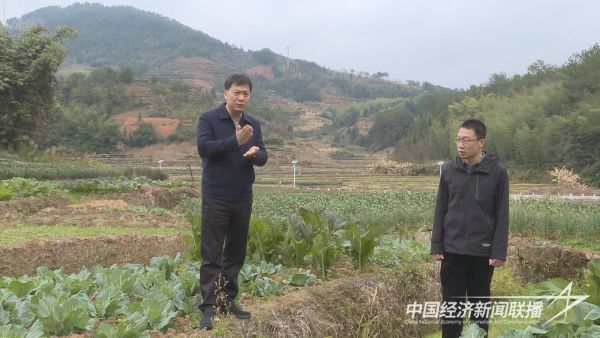 20240124  华安县委书记调研指导防寒防冻工作1.jpeg