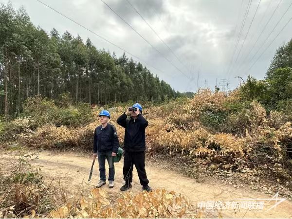 20240123  云霄供电：积极应对寒潮天气.jpg?v=1706065973