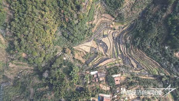 微信图片_20240129092159.jpg?v=1706511193