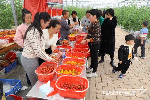 20240202上杭6_new (1).jpeg