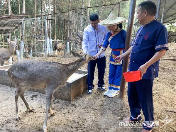 20240202上杭1_new (1).jpeg