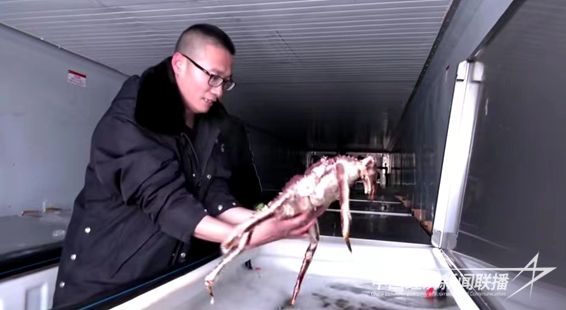 微信图片_20240207100030.jpg?v=1707276128