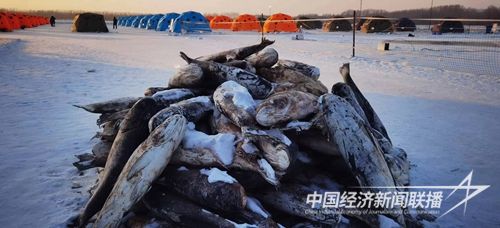 f97946164360bda88625965f11f7181.jpg?v=1707276799