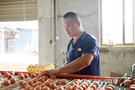 IMG_6332_proc.jpg?v=1708488183