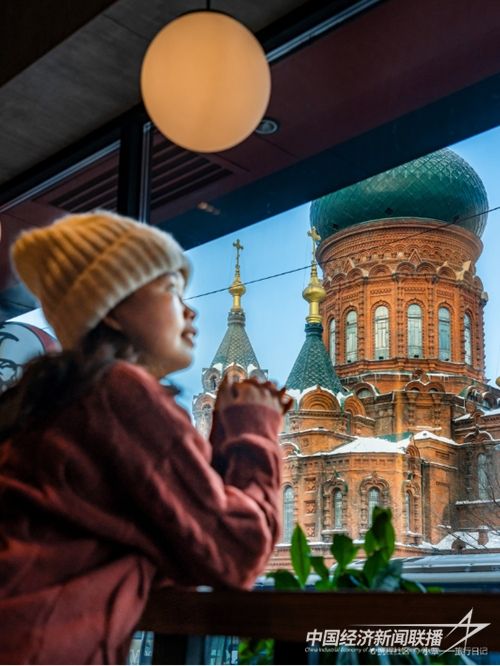 641 (1).jpg?v=1708684499