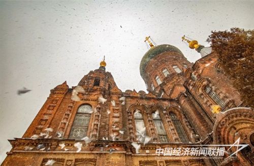 641 (4).jpg?v=1708684499