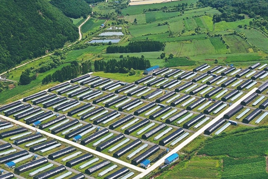 微信图片_20240307230419.jpg?x-oss-process=style/water