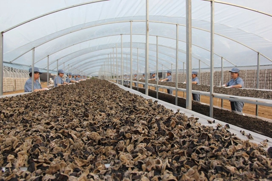 微信图片_20240307230428.jpg?x-oss-process=style/water