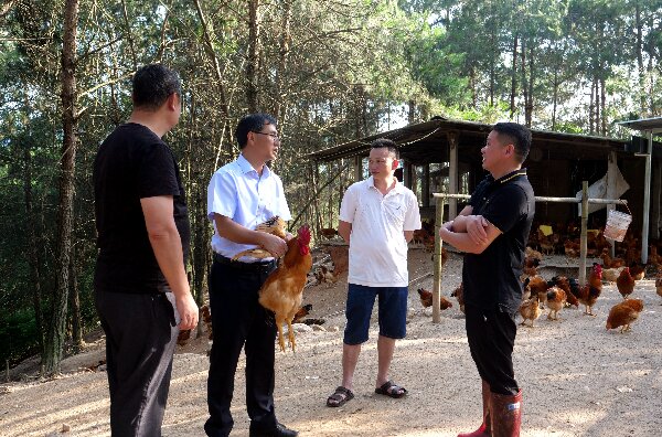 20240509  长汀：党建引领河田鸡产业高质量发展1.jpeg?x-oss-process=style/water