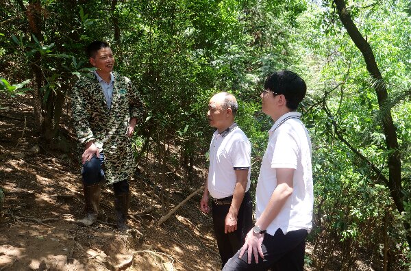 20240509  长汀：党建引领河田鸡产业高质量发展4.jpeg?x-oss-process=style/water