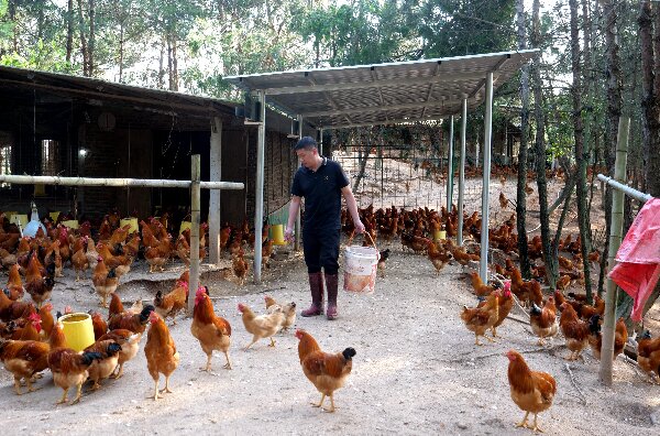 20240509  长汀：党建引领河田鸡产业高质量发展5.jpeg?x-oss-process=style/water