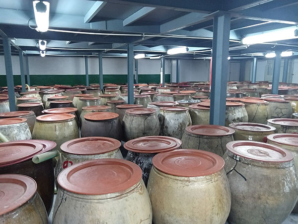 20240703  北辰山白酒文化节7.jpg?x-oss-process=style/water