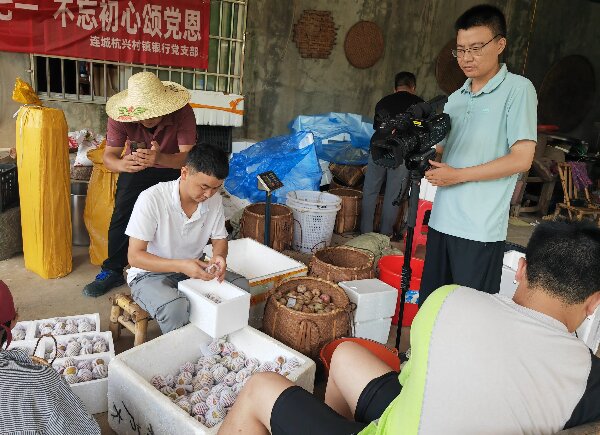 20240726连城4.jpg?x-oss-process=style/water