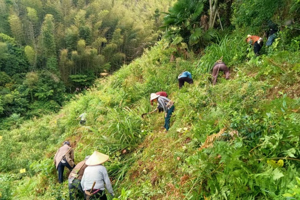 图片4.jpg?x-oss-process=style/water