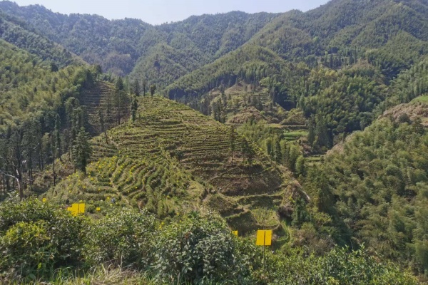 图片3.jpg?x-oss-process=style/water