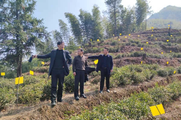 图片7.jpg?x-oss-process=style/water