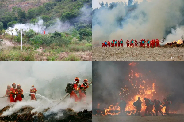 20241114  “绿盾-2024”厦门市森林防灭火综合演练圆满举行5 (1).jpg?x-oss-process=style/water