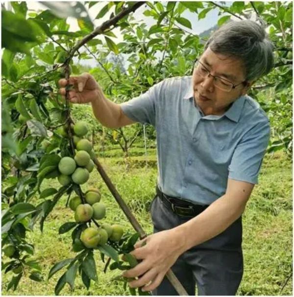 20241118 《日落日出》 走近乡村读懂农民1.jpg?x-oss-process=style/water