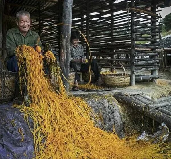 20241118 《日落日出》 走近乡村读懂农民13.jpg?x-oss-process=style/water