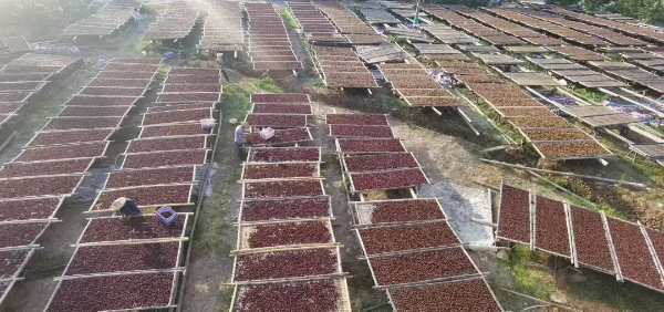 20241118 《日落日出》 走近乡村读懂农民14.jpg?x-oss-process=style/water